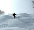 Belleayre Mountain Ski Center image 3