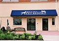Best In Show Pet Resort image 2