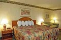 Best Western Airport Inn image 8