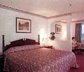 Best Western Ardmore Inn image 3