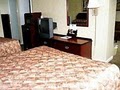 Best Western Carriage House Inn & Suites image 4