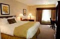Best Western CottonTree Inn image 4