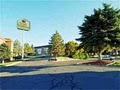 Best Western CottonTree Inn image 8