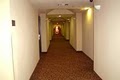 Best Western Executive Inn image 5