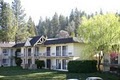 Best Western Gold Country Inn image 5