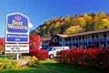 Best Western Mountainbrook Inn image 10