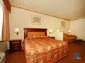 Best Western Quanah Inn & Suites image 8