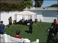 Beverly Hills Pet Hotel & Day image 1