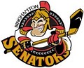 Binghamton Senators Hockey Club logo