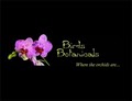 Bird's Botanicals - Where The Orchids Are logo