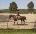Bit by Bit Equestrian Center image 2