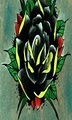 Black Rose Tattoo image 9