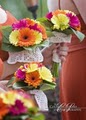 Bloomers Floral & Gift image 2