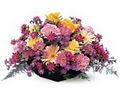 Bloomers Floral & Gift image 8