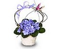 Bloomers Floral & Gift image 10