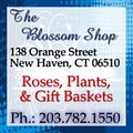 Blossom Shop logo