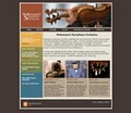 Blue Archer Pittsburgh Web Design image 3