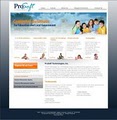 Blue Archer Pittsburgh Web Design image 8