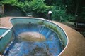 Blue Dolphin Pools Inc. image 3