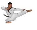 Blue Dragon Taekwondo image 2