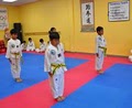 Blue Dragon Taekwondo image 1