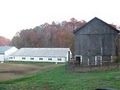 Blue Ribbon Farms, Inc. image 2