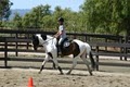 Blue Ribbon Saddle Club logo