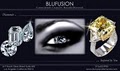 Blufusion logo