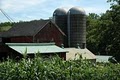 Bobolink Dairy logo