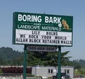 Boring Bark logo