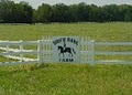 Brier Bank Farm Equestrian Center image 1