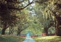 Brookgreen Gardens image 3