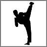 Bruno's Martial Arts Academy logo