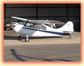 Bulldog Aviation image 3