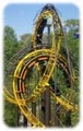 Busch Gardens image 2