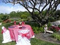 CC Specialty Linens & Chair Covers image 6