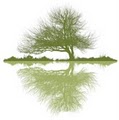 CJ's Landscape & Lawn Management logo