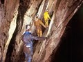 California Cavern State Historic Landmark image 9