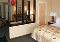 Cambria Suites image 2