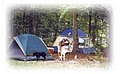 Camp OutBack image 2