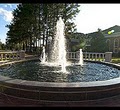 Campbell University image 7