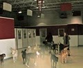 Canine College image 9