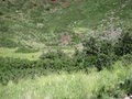 Capulin Volcano National Monument image 3