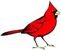 Cardinal Home Services  -  Appliance Repair logo