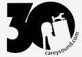 CareySound logo