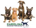 Carolina Canine Training image 1