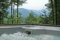 Carolina Mornings   Asheville Mountain Vacation Rentals image 6