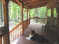 Carolina Mornings   Asheville Mountain Vacation Rentals image 10