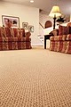 Carpet Cleaning Company - Mobile image 10