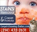 Carpet Cleaning Dallas image 4